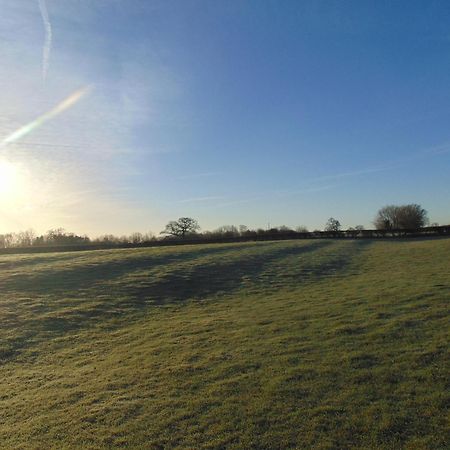 Willa Fieldsview Wrexham Zewnętrze zdjęcie