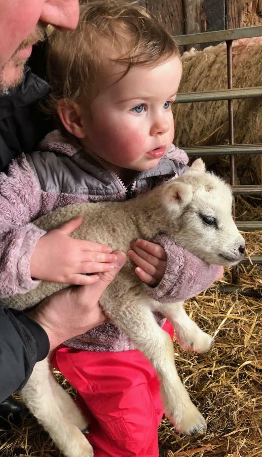 Willa Fieldsview Wrexham Zewnętrze zdjęcie